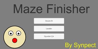Maze Finisher - Screenshot 1