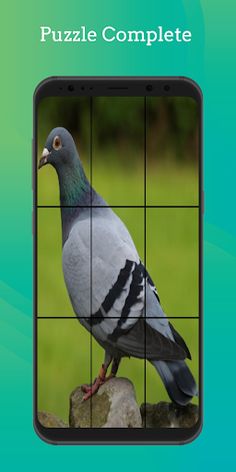 Puzzle Game - Screenshot 2