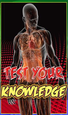 Human Anatomy Education Quiz - Screenshot 4