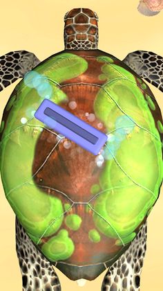 Barnacle Removal - Screenshot 4