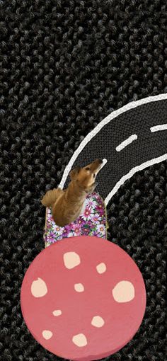 Kotaki - Screenshot 1