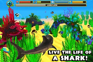 Wildlife Simulator: Shark - Screenshot 2