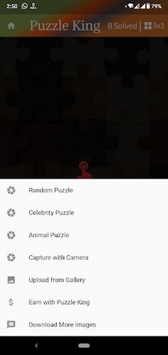 Puzzle King - Screenshot 2