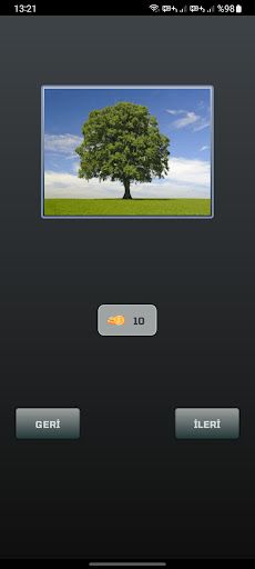Kelime Oyunu - Screenshot 3