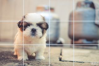 Natural Puzzle - Screenshot 2