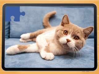 Cute cat puzzle game - Screenshot 2