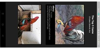 Talpak - Screenshot 1