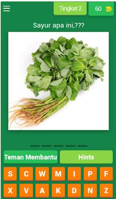 NAMA SAYURAN - Screenshot 1