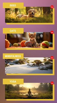 Word Search & Hunt - Screenshot 2