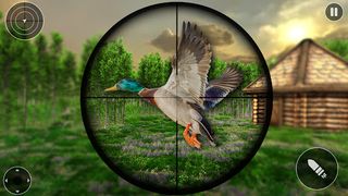 Island Birds Sniper Shooter - Screenshot 2