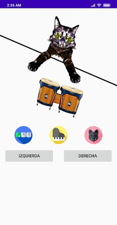 Luci Bongo Cat - Screenshot 1