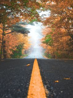 Secluded bays - Screenshot 4