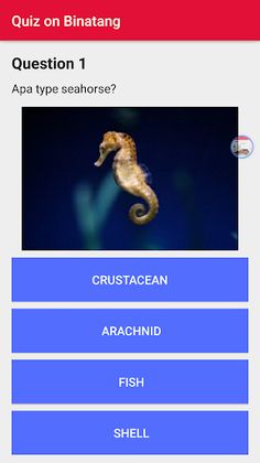Anaka Kuis Asah Otak - Screenshot 2
