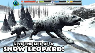 Snow Leopard Simulator - Screenshot 1