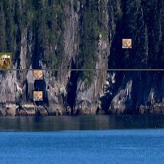 quijum - Screenshot 1