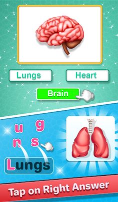 Human Body Parts Kids Learning - Screenshot 1