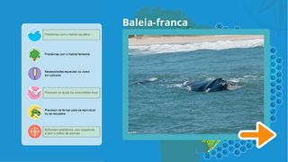 Defensores dos Biomas - Screenshot 3
