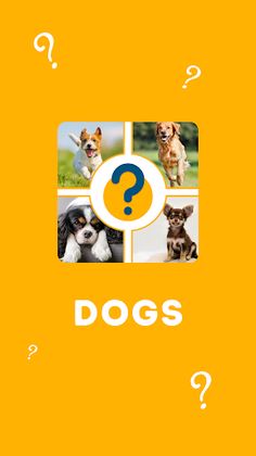 Quiz 2022 - Dogs - Screenshot 1