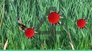 Bumblebee Jumper - Screenshot 3