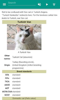 Cat breeds (quiz) - Screenshot 4