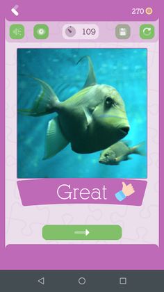 Jigsaw PhotoPuzzle - Screenshot 4