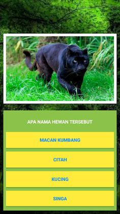 Kuis Tebak Nama Hewan. - Screenshot 3