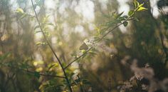 Beautiful sunrise - Screenshot 4