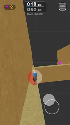 Ball Posse - Screenshot 3
