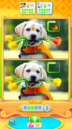 Fun Differences-Find & Spot It - Screenshot 1