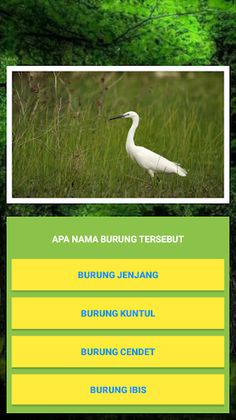 Kuis Tebak Nama Hewan. - Screenshot 4