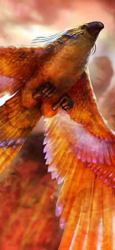 OpticaleTest - Screenshot 3