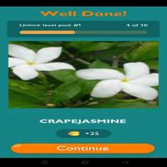 Flowers Quiz - Screenshot 2