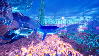 SEA FISH - Screenshot 2