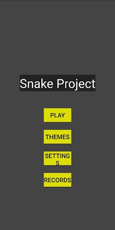 Snake Project - Screenshot 1