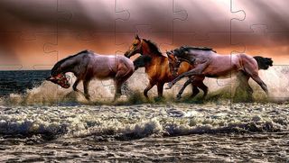 Animals jigsaw puzzles games - Screenshot 2