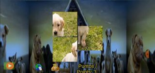 Puppies Puzzle Dogs Adults Chi - Screenshot 1