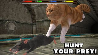 Ultimate Cat Simulator - Screenshot 1