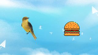 Choose Bird - Screenshot 1