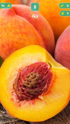 PhotoQuiz - Screenshot 4