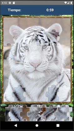 Rompecabezas de Tigres - Screenshot 4