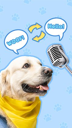 Dog Translator - Talking Dog - Screenshot 1