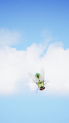 Cat Toy - Screenshot 3