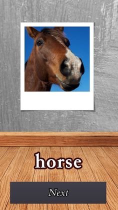 Flash Cards - Screenshot 2