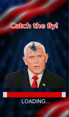 Catch the Flappy Fly - Mike Pe - Screenshot 1