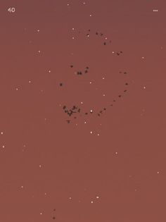 Flocc - Screenshot 4