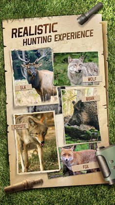 Hunting Sniper - Screenshot 2