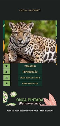 SUPER TRUNFO ANIMAIS - Screenshot 4