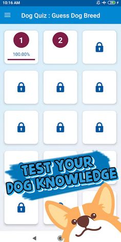 dog breed quiz - Screenshot 2