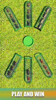 Insect Sort Puzzle Color Bugs - Screenshot 1