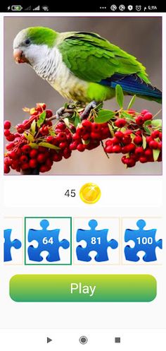 Jigsaw Puzzle - Screenshot 3